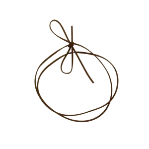 Brown String - Necklace for Mix Pieces