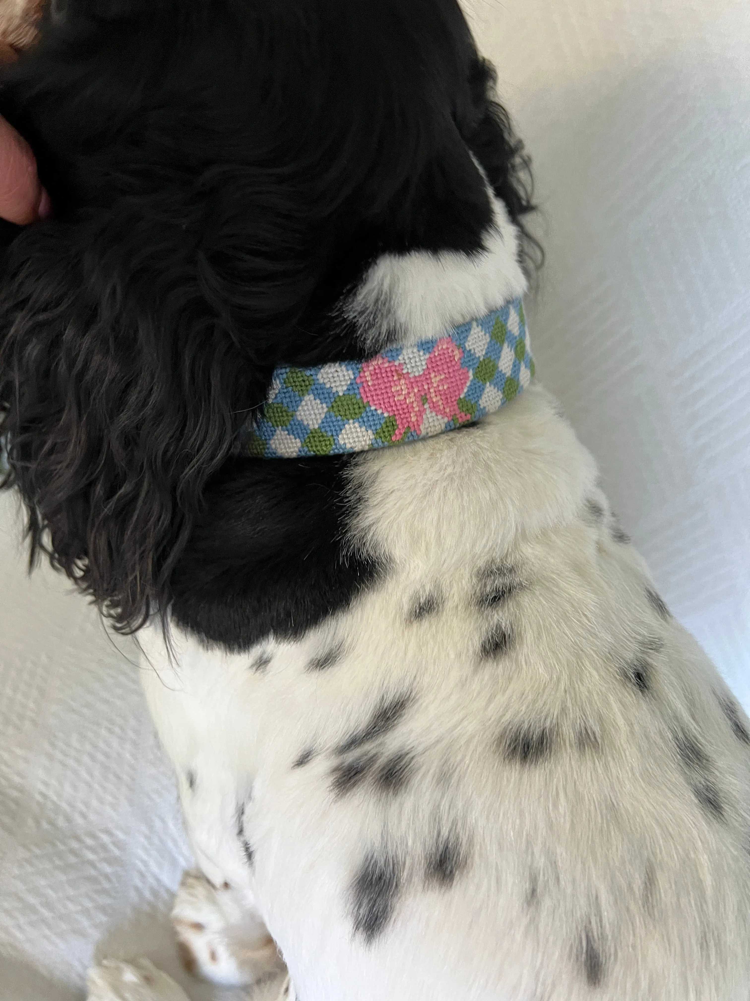 Needlepoint and leather dog collars
