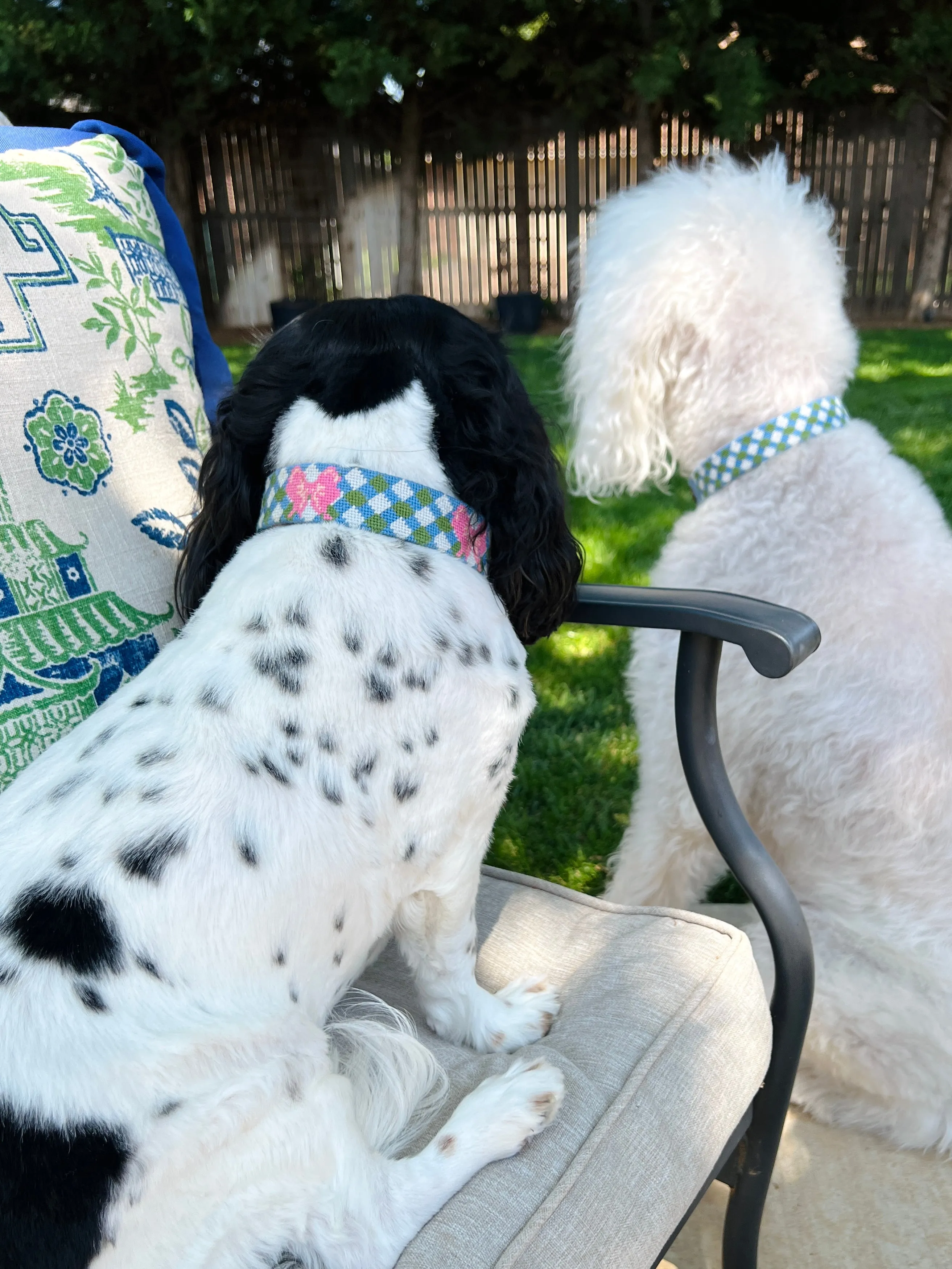 Needlepoint and leather dog collars