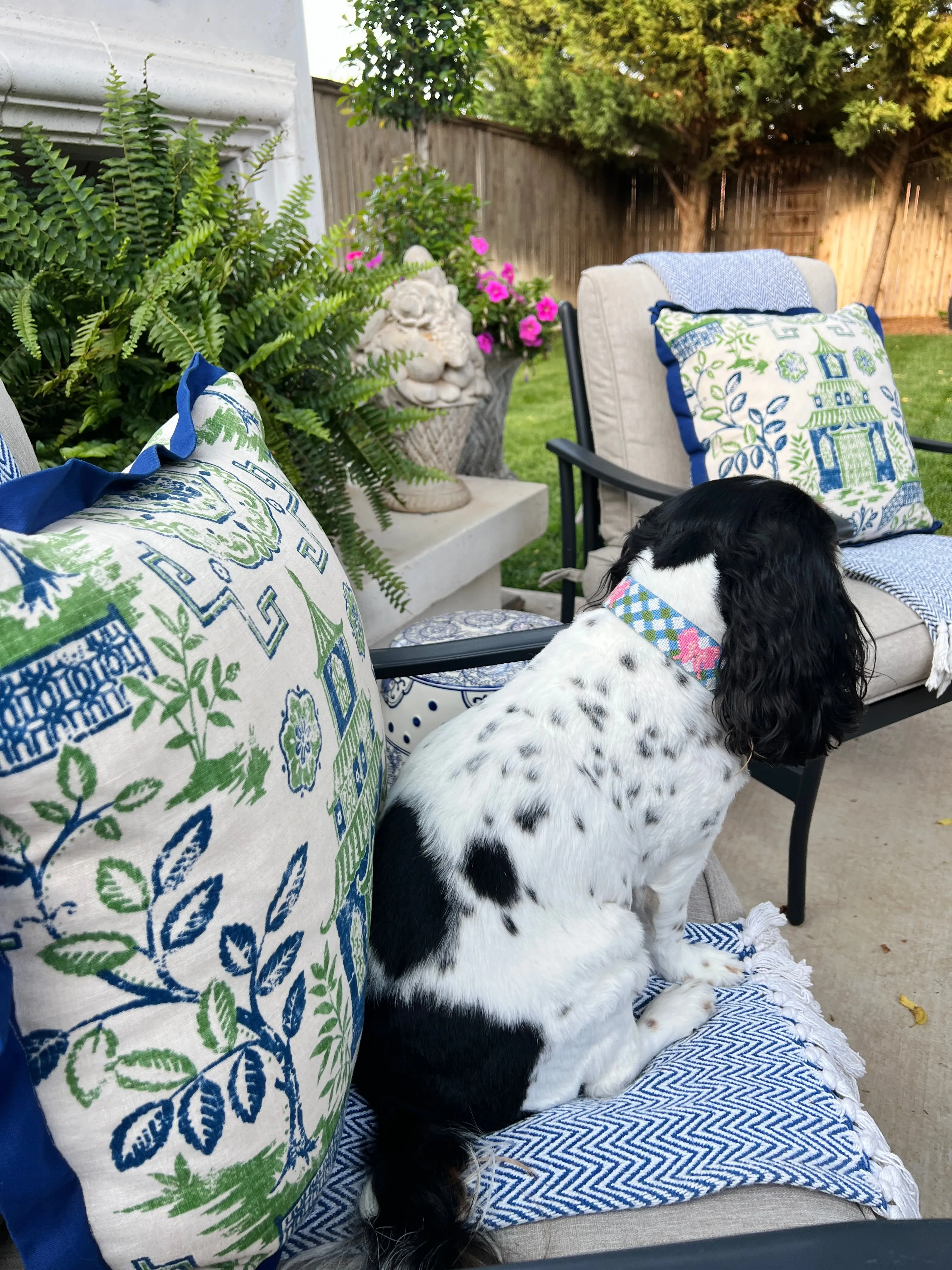 Needlepoint and leather dog collars