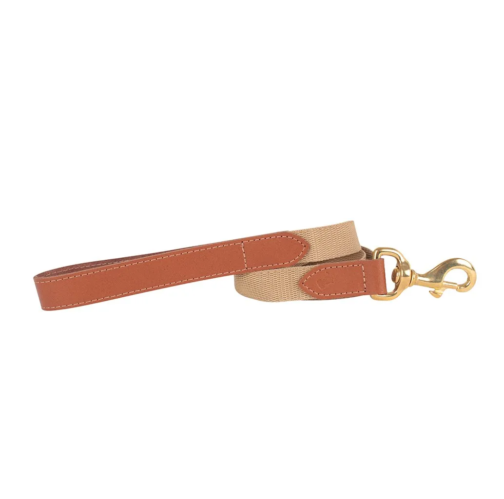 'The Richmond' Tan Luxury Dog Collar