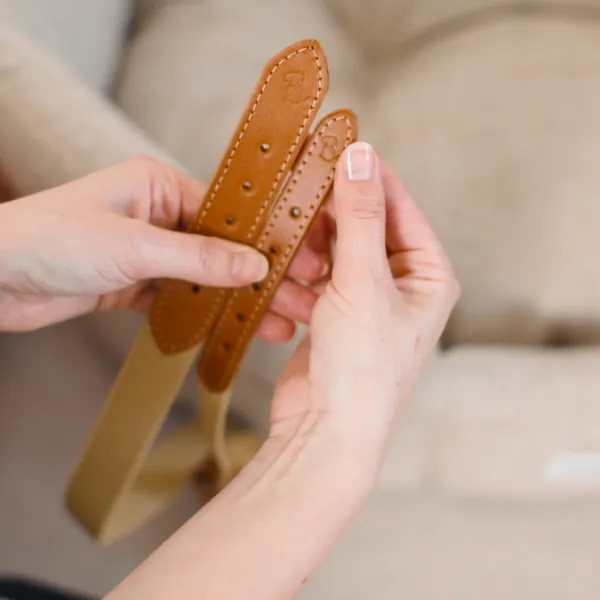 'The Richmond' Tan Luxury Dog Collar