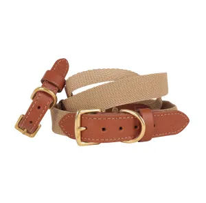 'The Richmond' Tan Luxury Dog Collar