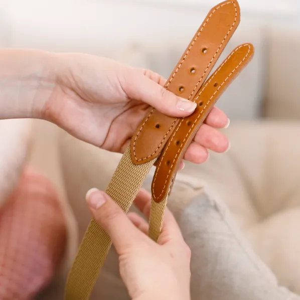 'The Richmond' Tan Luxury Dog Collar